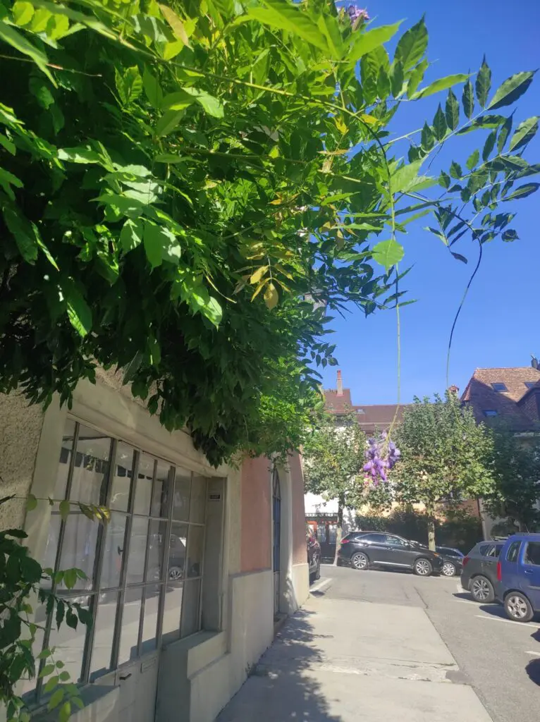bourg-lavaux2