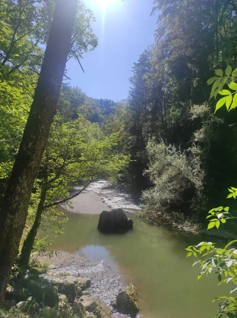 gorges-jogne
