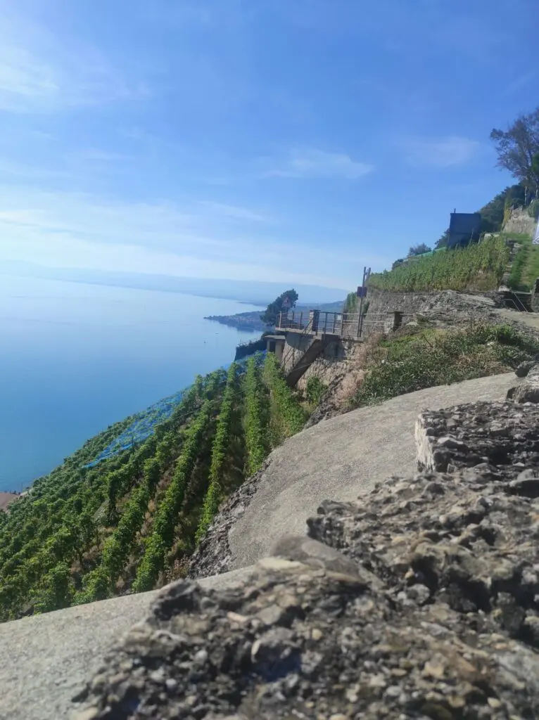 terrasses-lavaux