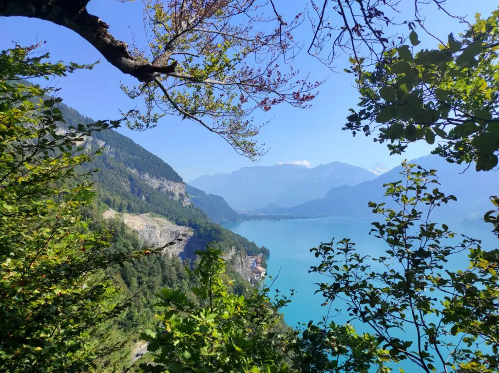 vue-rando-lac-thoune